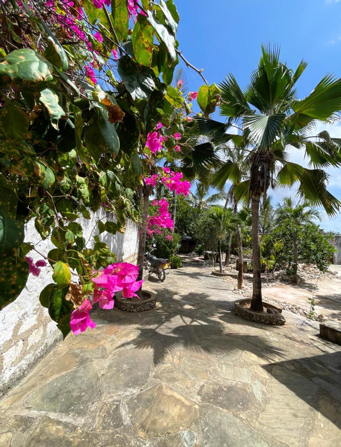 Tembo Village واتامو المظهر الخارجي الصورة