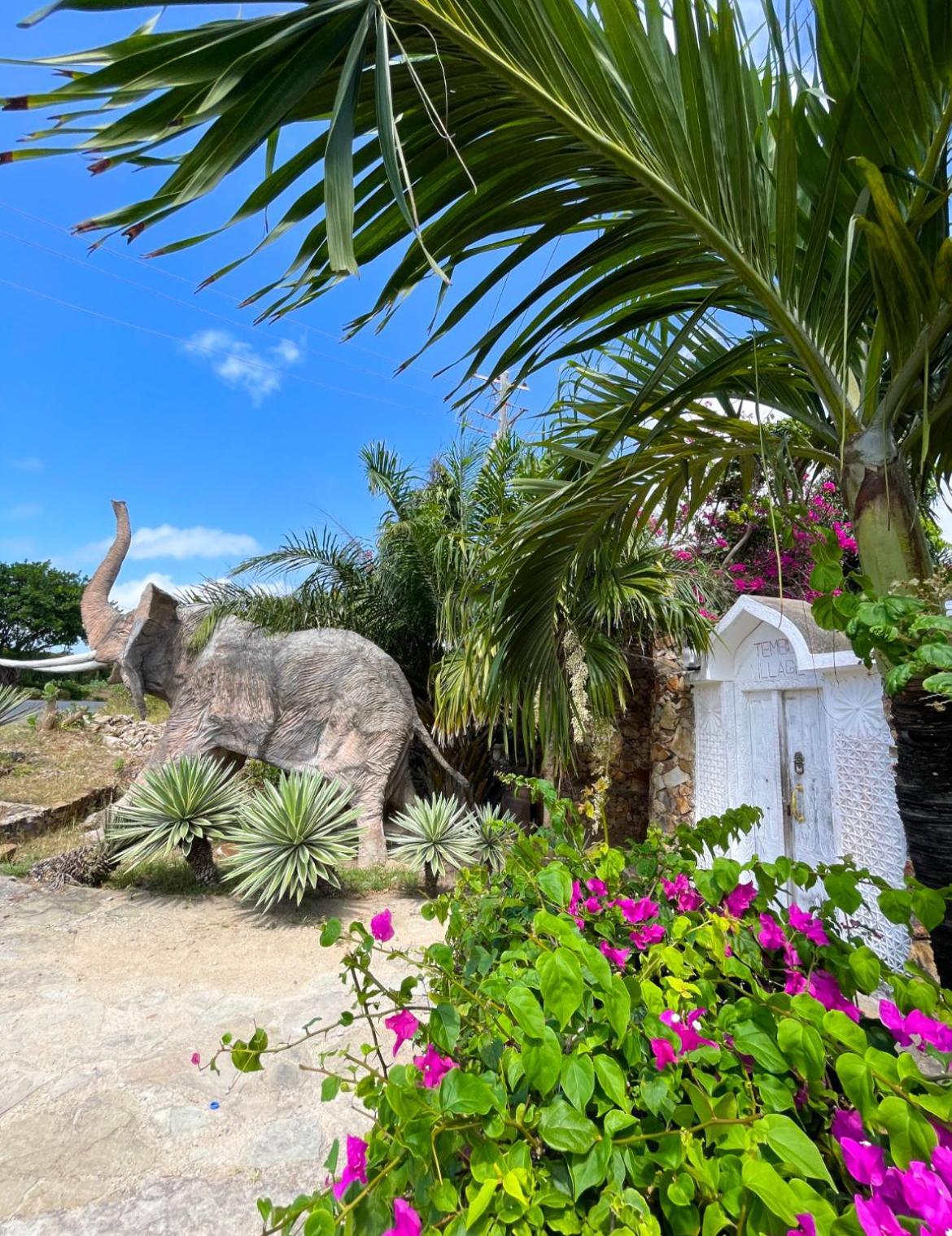 Tembo Village واتامو المظهر الخارجي الصورة