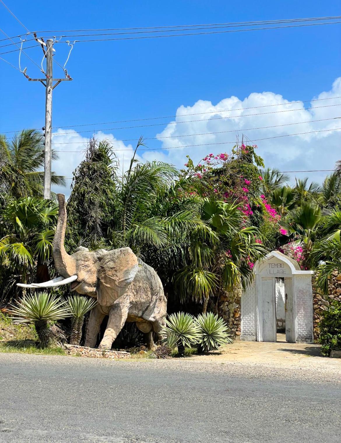 Tembo Village واتامو المظهر الخارجي الصورة